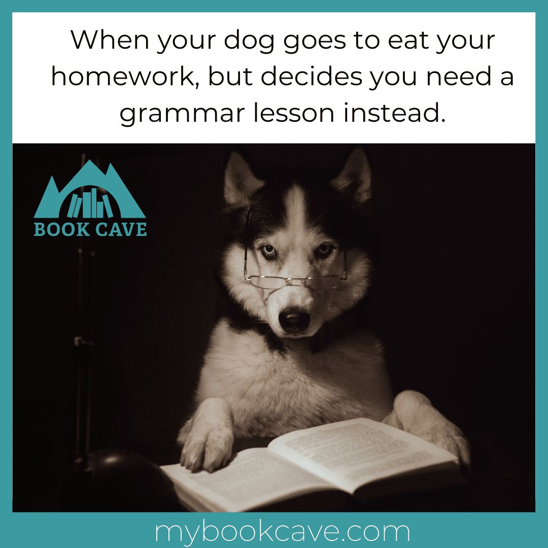 dog grammar meme