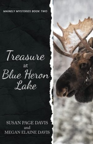 Cover for Treasure at Blue Heron Lake