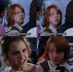Funny Ron and Hermione meme