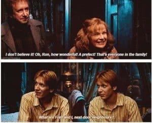 Fred and George Weasley Memes