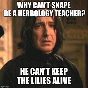 Severus Snape Memes