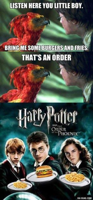 Clean And Funny Harry Potter Memes 