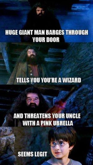 The best Potter memes :) Memedroid
