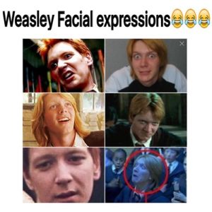 Fred and George Weasley Memes