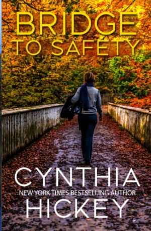 Cover for Bridge to Safety