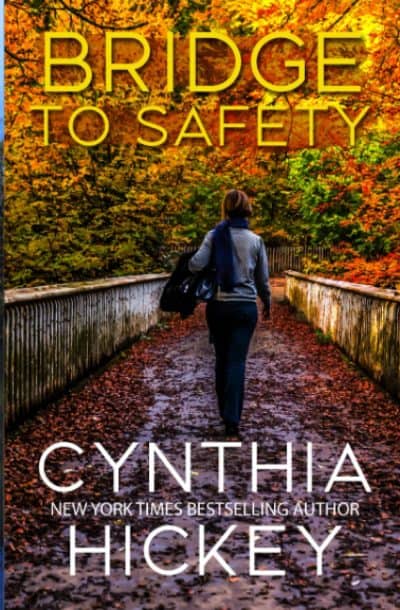 Cover for Bridge to Safety