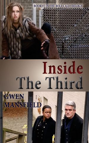 Cover for Inside The Third