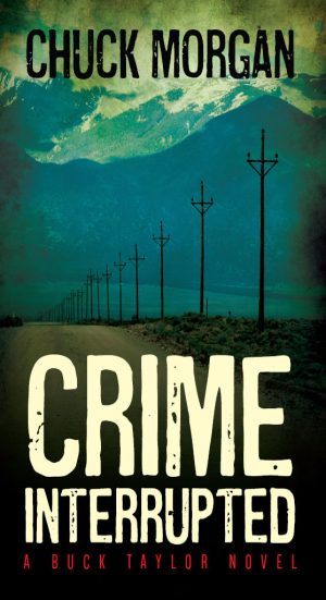 Cover for Crime Interrupted