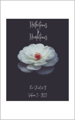 Cover for Reflections & Revelations