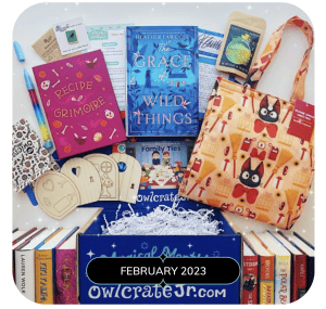 Example of a past OwlCrate box from February 2023