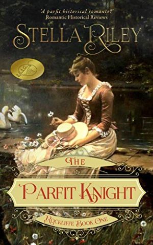 Cover for The Parfit Knight