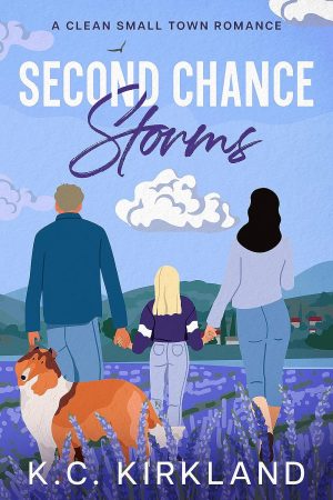 Cover for Second Chance Storms