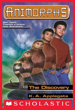 Cover for The Discovery