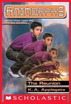 Cover for The Reunion