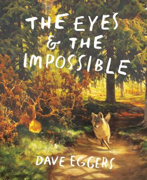 Cover for The Eyes and the Impossible