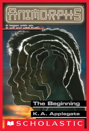 Cover for The Beginning