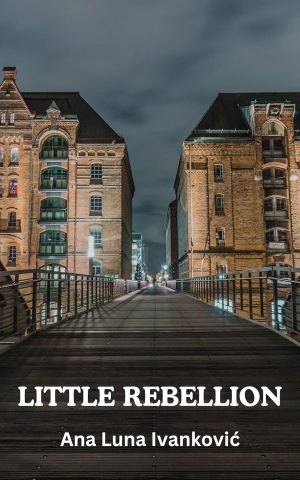 Cover for Little Rebellion