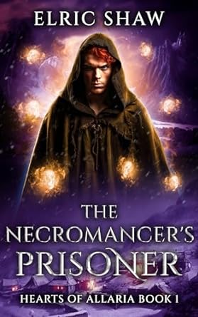 Cover for The Necromancer's Prisoner