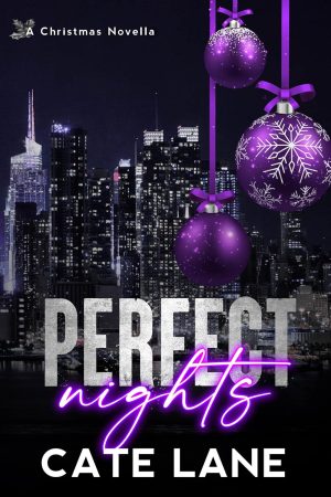 Cover for Perfect Nights