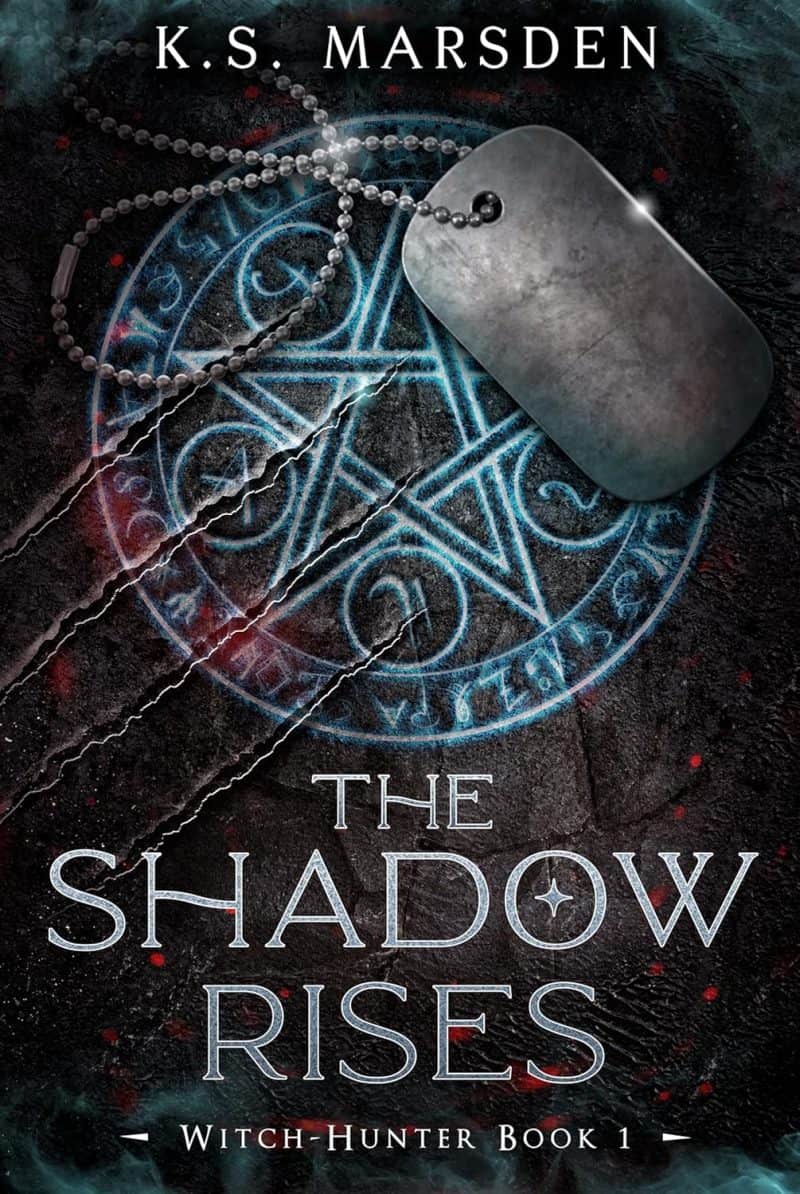 Cover for The Shadow Rises