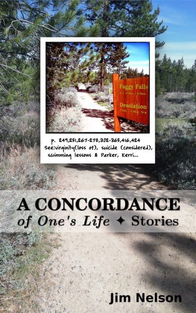 Cover for A Concordance of One's Life