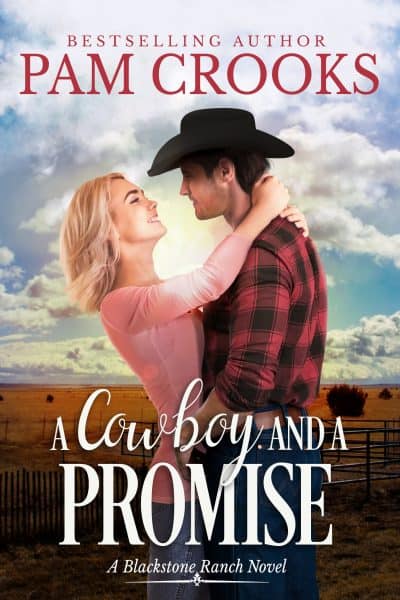 Cover for A Cowboy and a Promise