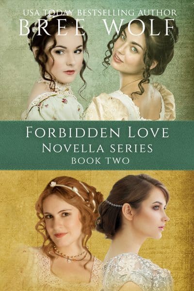 Cover for A Forbidden Love Novella Series Box Set: Novellas 5 - 8