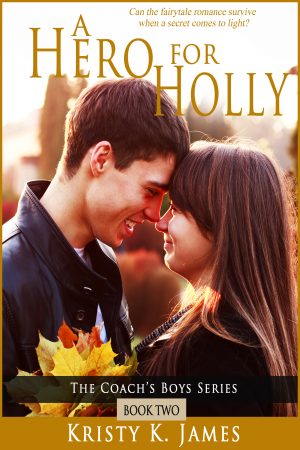 Cover for A Hero for Holly