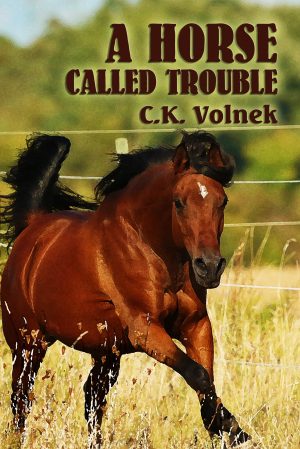 Cover for A Horse Called Trouble