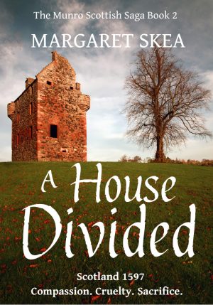 Cover for A House Divided