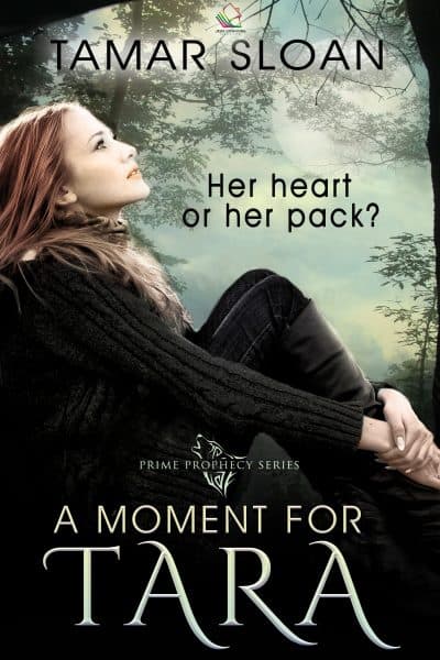 Cover for A Moment for Tara