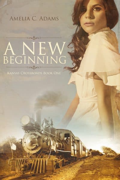Cover for A New Beginning
