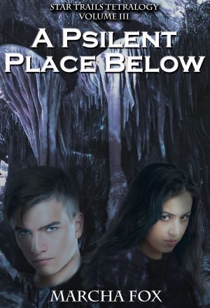 Cover for A Psilent Place Below