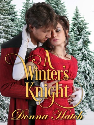 Cover for A Winter's Knight
