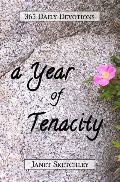 Cover for A Year of Tenacity