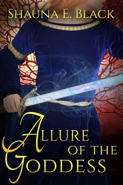Cover for Allure of Enchantment