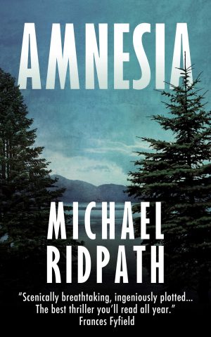 Cover for Amnesia