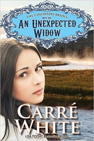Cover for An Unexpected Widow