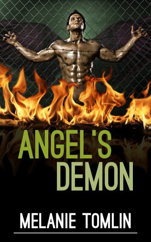 Cover for Angel's Demon