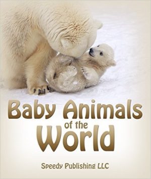 Cover for Baby Animals Of The World