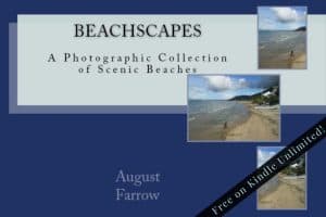 Cover for BeachScapes