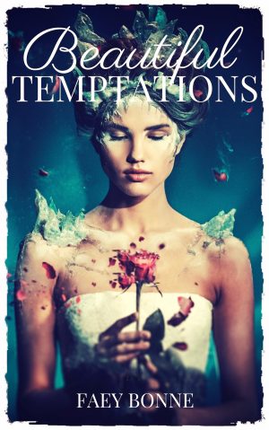 Cover for Beautiful Temptations