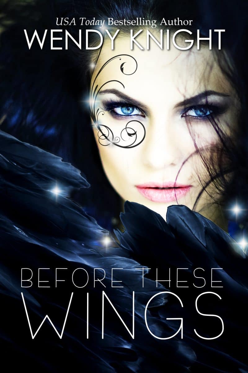 Cover for Before These Wings