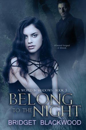 Cover for Belong to the Night