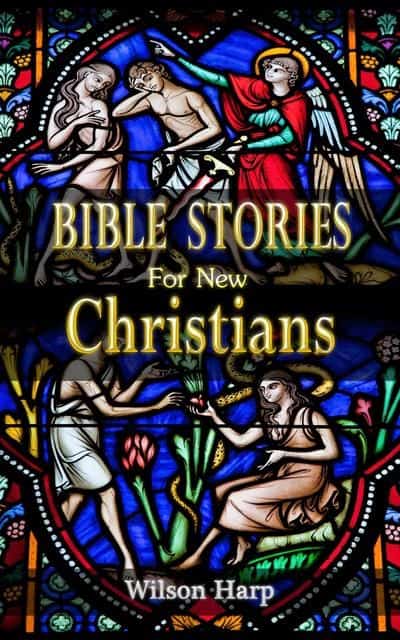 Cover for Bible Stories for New Christians