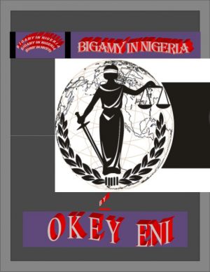 Cover for Bigamy In Nigeria