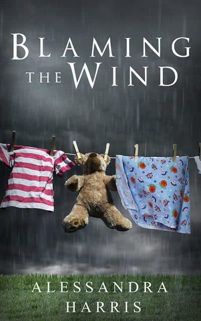 Cover for Blaming the Wind