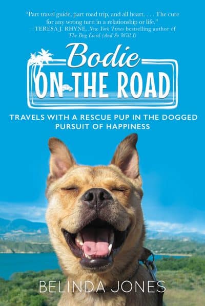 Cover for Bodie on the Road