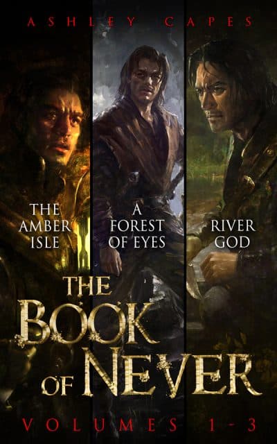 Cover for Book of Never