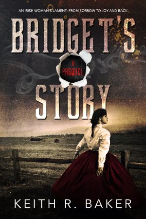 Cover for Bridget's Story